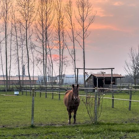 Вілла Agriturismo Al Botteniga Тревізо Екстер'єр фото