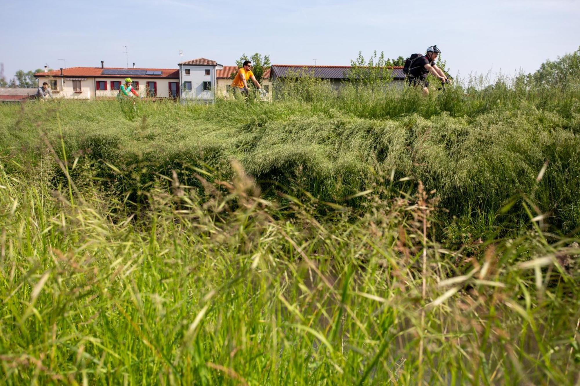 Вілла Agriturismo Al Botteniga Тревізо Екстер'єр фото