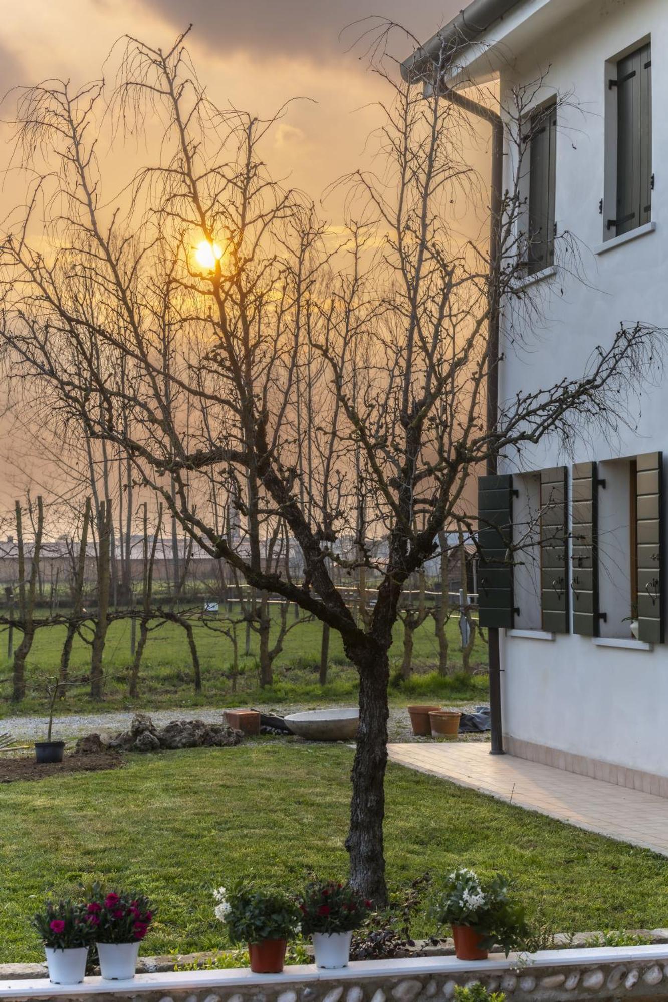 Agriturismo Al Botteniga Тревізо Екстер'єр фото