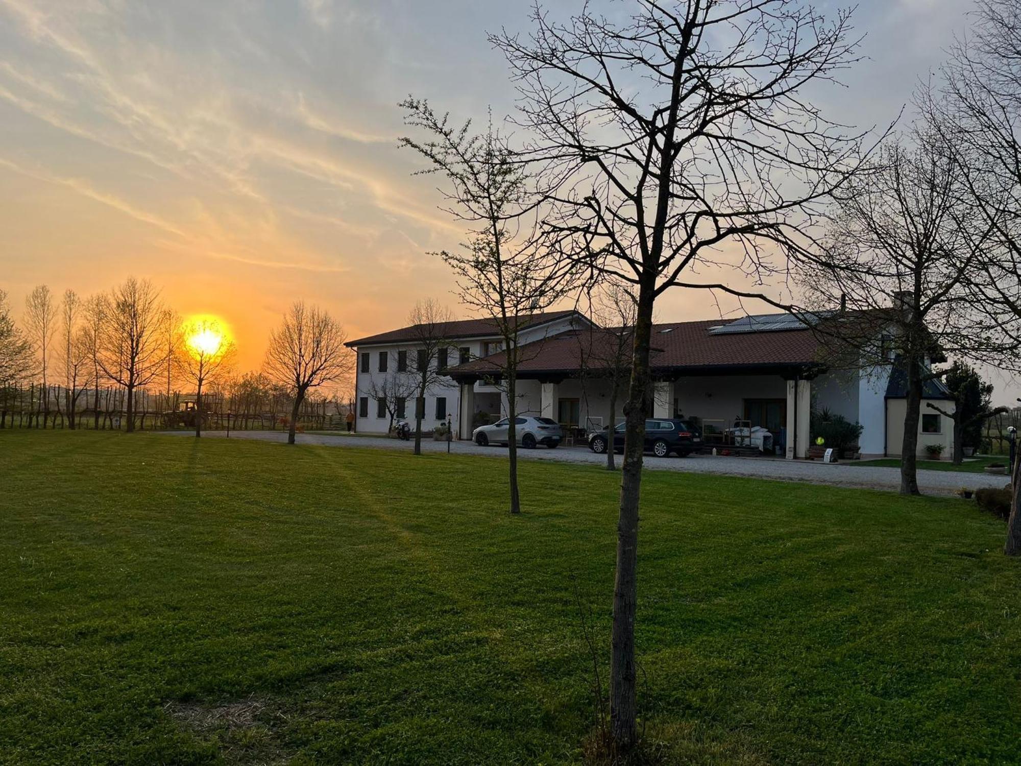 Agriturismo Al Botteniga Тревізо Екстер'єр фото