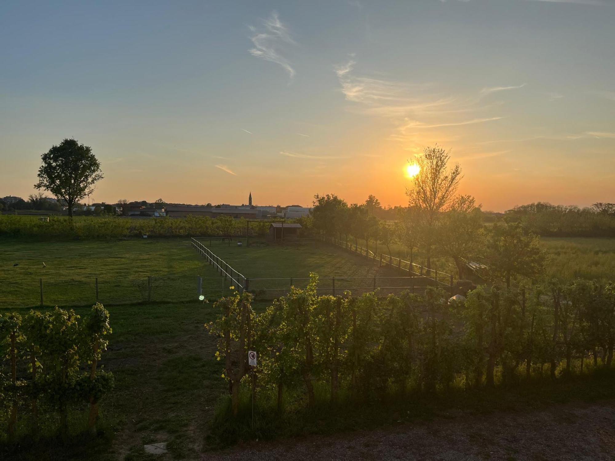 Agriturismo Al Botteniga Тревізо Екстер'єр фото