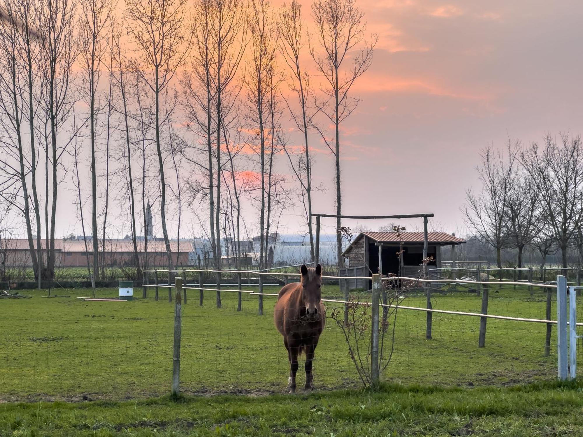 Agriturismo Al Botteniga Тревізо Екстер'єр фото