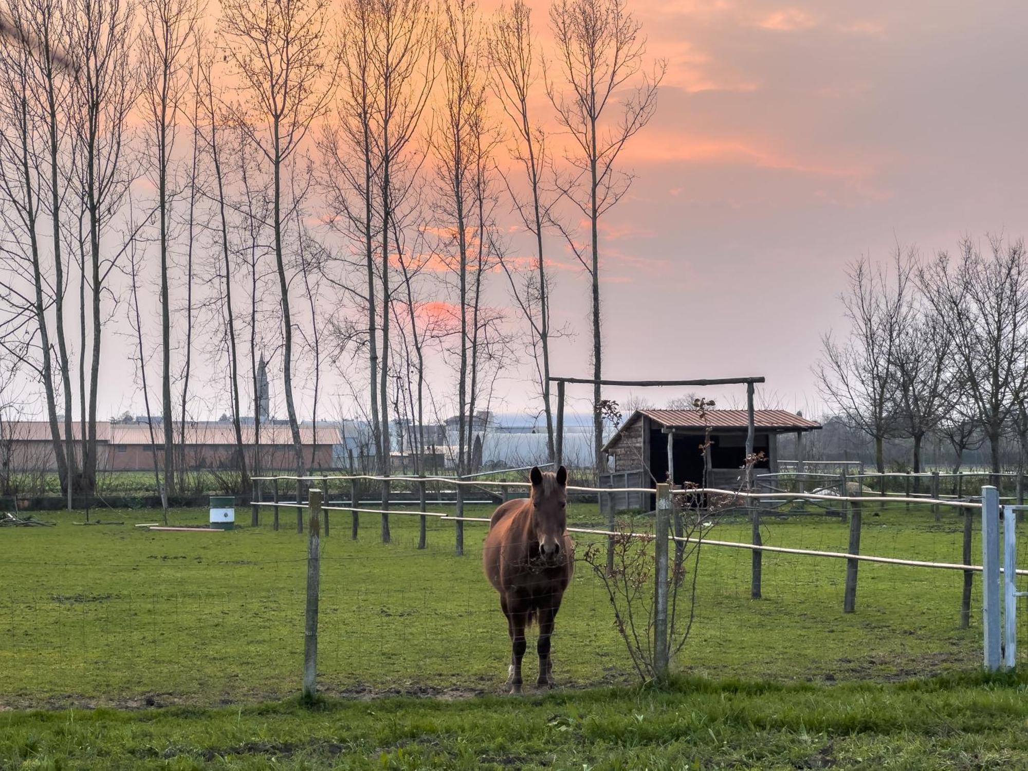 Вілла Agriturismo Al Botteniga Тревізо Екстер'єр фото